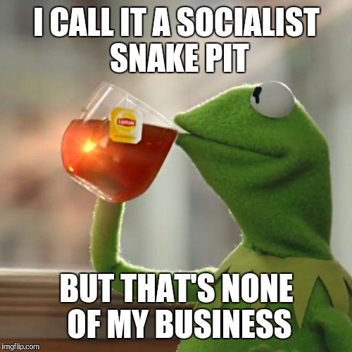 But That's None Of My Business Meme | I CALL IT A SOCIALIST SNAKE PIT BUT THAT'S NONE OF MY BUSINESS | image tagged in memes,but thats none of my business,kermit the frog | made w/ Imgflip meme maker