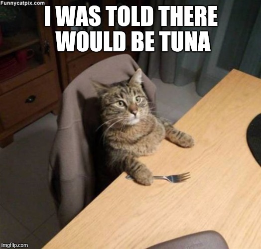 Unkept promises | I WAS TOLD THERE WOULD BE TUNA | image tagged in kitty fork,cat,food,great expectations | made w/ Imgflip meme maker