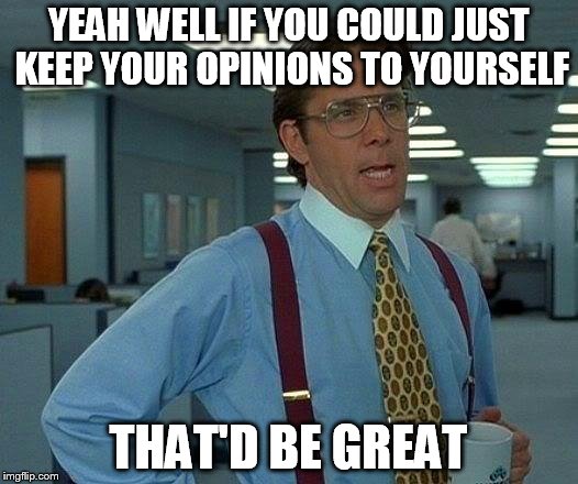 That Would Be Great | YEAH WELL IF YOU COULD JUST KEEP YOUR OPINIONS TO YOURSELF; THAT'D BE GREAT | image tagged in memes,that would be great | made w/ Imgflip meme maker