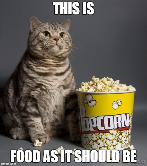 Cat eating popcorn | THIS IS; FOOD AS IT SHOULD BE | image tagged in cat eating popcorn | made w/ Imgflip meme maker