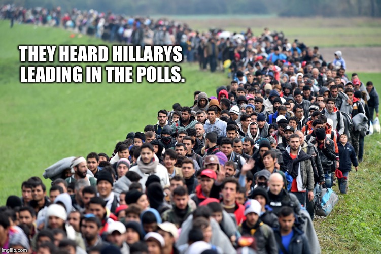 muslim-welfare-migrants | THEY HEARD HILLARYS LEADING IN THE POLLS. | image tagged in muslim-welfare-migrants | made w/ Imgflip meme maker