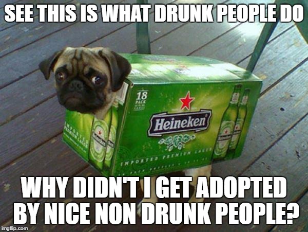 beer pug | SEE THIS IS WHAT DRUNK PEOPLE DO; WHY DIDN'T I GET ADOPTED BY NICE NON DRUNK PEOPLE? | image tagged in beer pug | made w/ Imgflip meme maker