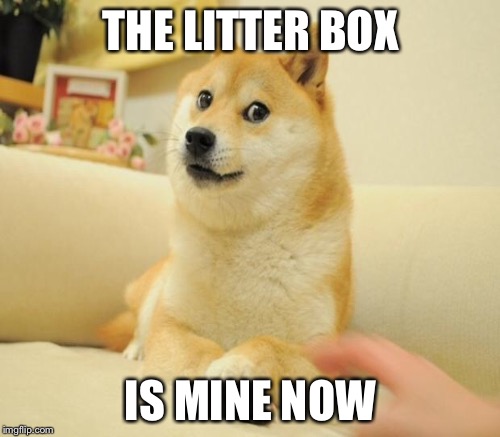 THE LITTER BOX IS MINE NOW | made w/ Imgflip meme maker