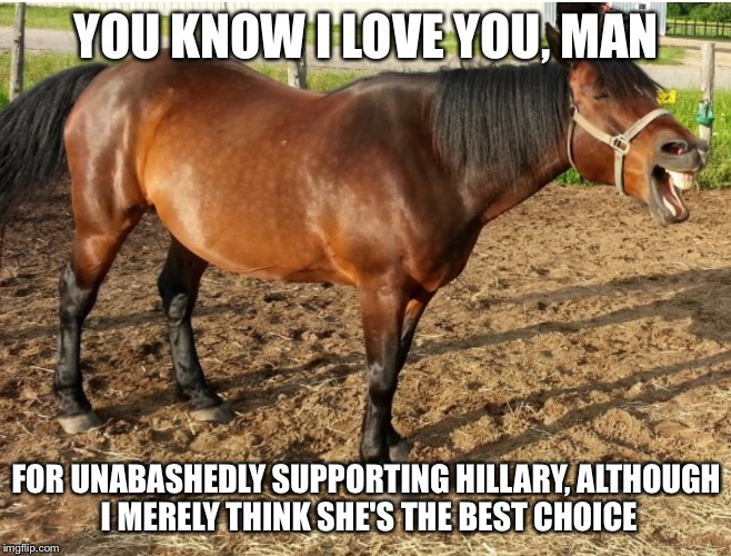 LAUGHING HORSE | YOU KNOW I LOVE YOU, MAN FOR UNABASHEDLY SUPPORTING HILLARY, ALTHOUGH I MERELY THINK SHE'S THE BEST CHOICE | image tagged in laughing horse | made w/ Imgflip meme maker
