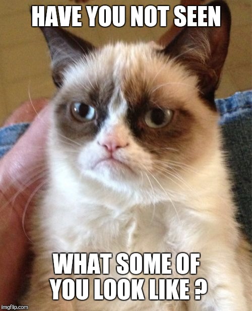 Grumpy Cat Meme | HAVE YOU NOT SEEN WHAT SOME OF YOU LOOK LIKE ? | image tagged in memes,grumpy cat | made w/ Imgflip meme maker