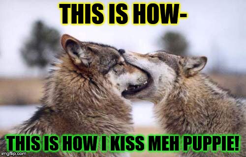 Moon Moon 2 | THIS IS HOW-; THIS IS HOW I KISS MEH PUPPIE! | image tagged in moon moon 2 | made w/ Imgflip meme maker