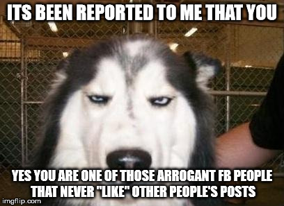 Skeptical Dog | ITS BEEN REPORTED TO ME THAT YOU; YES YOU ARE ONE OF THOSE ARROGANT FB PEOPLE THAT NEVER "LIKE" OTHER PEOPLE'S POSTS | image tagged in skeptical dog | made w/ Imgflip meme maker