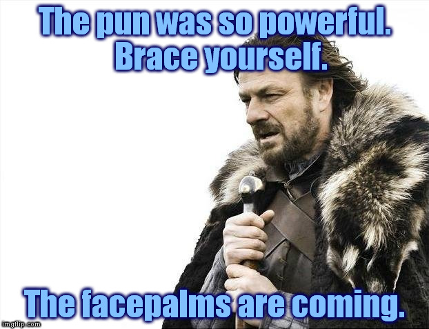 Brace Yourselves X is Coming Meme | The pun was so powerful.  Brace yourself. The facepalms are coming. | image tagged in memes,brace yourselves x is coming | made w/ Imgflip meme maker