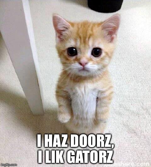 Cute Cat | I HAZ DOORZ, I LIK GATORZ | image tagged in memes,cute cat | made w/ Imgflip meme maker