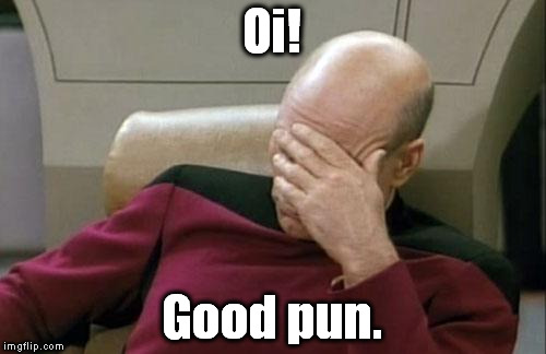 Captain Picard Facepalm Meme | Oi! Good pun. | image tagged in memes,captain picard facepalm | made w/ Imgflip meme maker