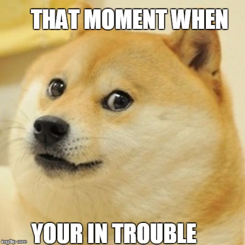 Doge | THAT MOMENT WHEN; YOUR IN TROUBLE | image tagged in memes,doge | made w/ Imgflip meme maker