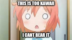 THIS IS TOO KAWAII I CANT BEAR IT | made w/ Imgflip meme maker