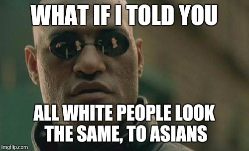 Matrix Morpheus | WHAT IF I TOLD YOU; ALL WHITE PEOPLE LOOK THE SAME, TO ASIANS | image tagged in memes,matrix morpheus | made w/ Imgflip meme maker