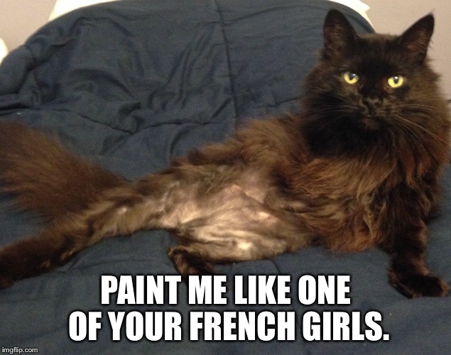 My cat likes the movie Titanic. Or she wants to be a prostitute, i'm not sure. | PAINT ME LIKE ONE OF YOUR FRENCH GIRLS. | image tagged in titanic,cats,prostitute,memes | made w/ Imgflip meme maker