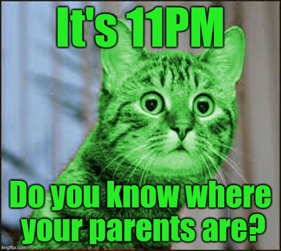 Where are they? | It's 11PM; Do you know where your parents are? | image tagged in raycat wtf,memes | made w/ Imgflip meme maker
