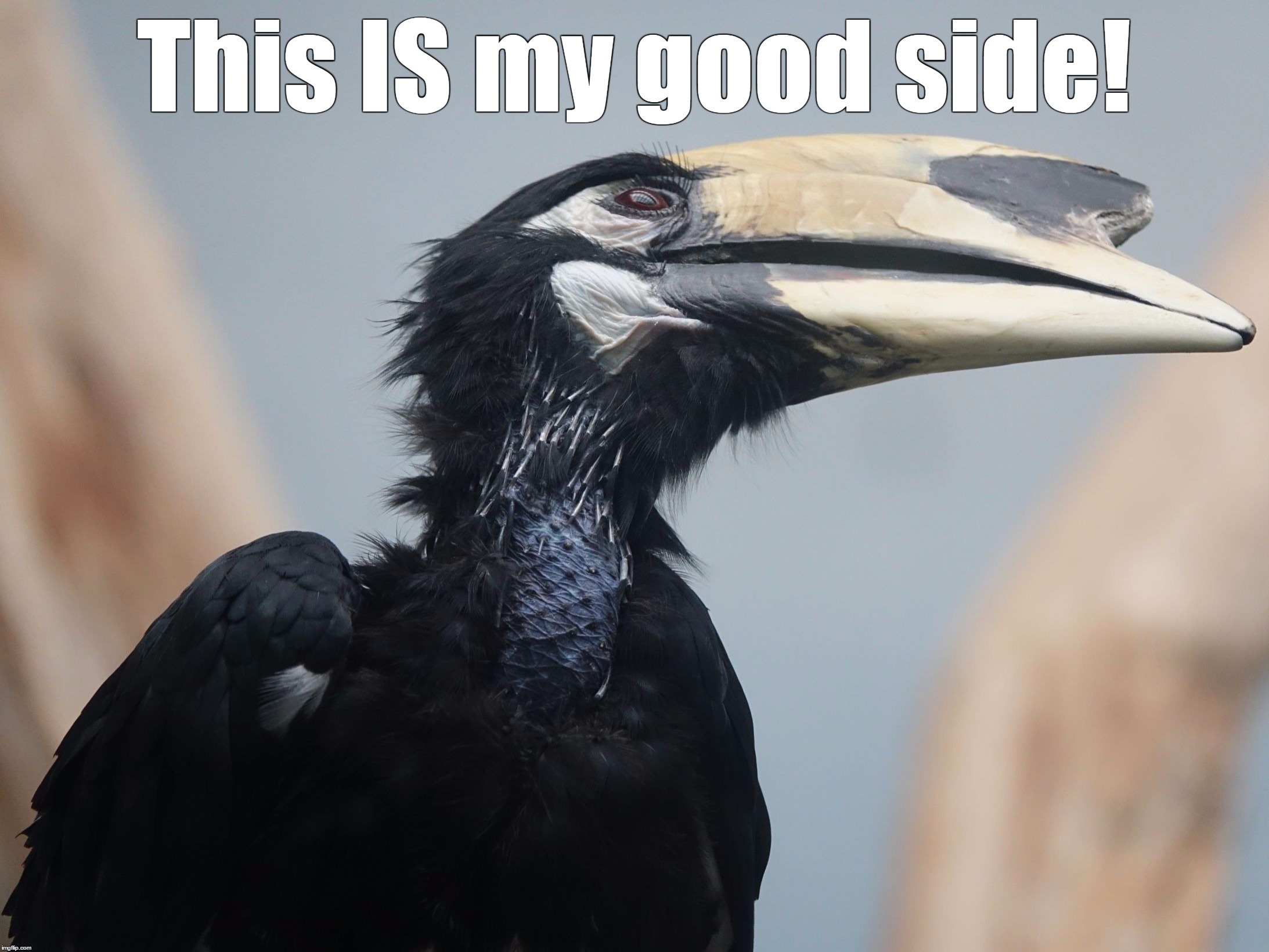 This IS my good side! | image tagged in my good side | made w/ Imgflip meme maker