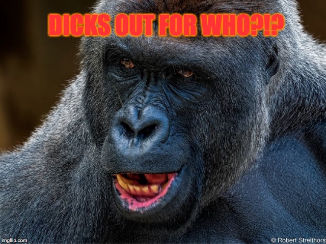 Harambro | DICKS OUT FOR WHO?!? | image tagged in funny memes,harambe | made w/ Imgflip meme maker