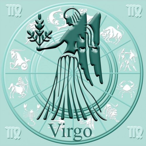 High Quality virgo Blank Meme Template