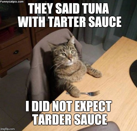 THEY SAID TUNA WITH TARTER SAUCE I DID NOT EXPECT TARDER SAUCE | made w/ Imgflip meme maker