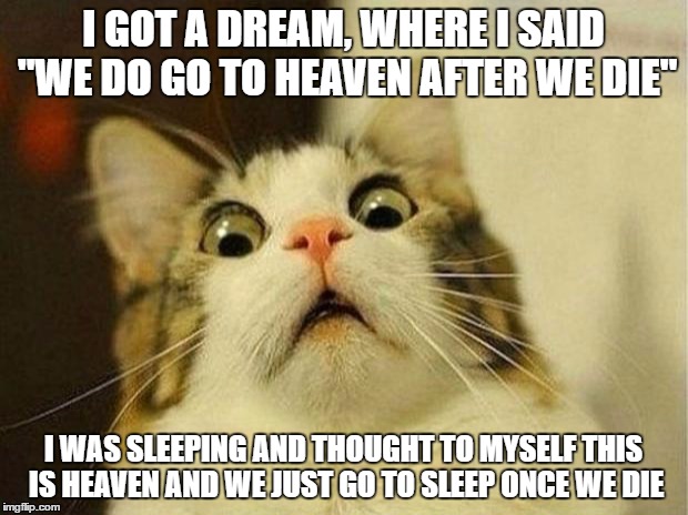 Scared Cat Meme | I GOT A DREAM, WHERE I SAID "WE DO GO TO HEAVEN AFTER WE DIE"; I WAS SLEEPING AND THOUGHT TO MYSELF THIS IS HEAVEN AND WE JUST GO TO SLEEP ONCE WE DIE | image tagged in memes,scared cat | made w/ Imgflip meme maker