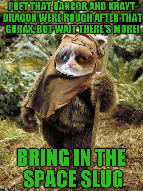 Grumpy Ewok | I BET THAT RANCOR AND KRAYT DRAGON WERE ROUGH AFTER THAT GORAX, BUT WAIT THERE'S MORE! BRING IN THE SPACE SLUG | image tagged in grumpy ewok | made w/ Imgflip meme maker