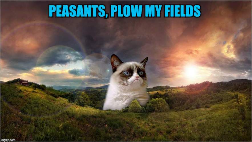 PEASANTS, PLOW MY FIELDS | made w/ Imgflip meme maker