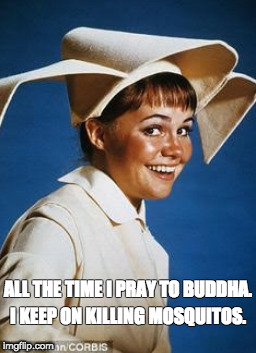 Kobayashi Issa | ALL THE TIME I PRAY TO BUDDHA. I KEEP ON KILLING MOSQUITOS. | image tagged in mosquito,mosquitoes | made w/ Imgflip meme maker