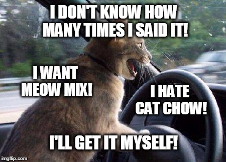 Puss Puss gets frustrated when mom buys the wrong food... | I DON'T KNOW HOW MANY TIMES I SAID IT! I WANT MEOW MIX! I HATE CAT CHOW! I'LL GET IT MYSELF! | image tagged in cats,driving cat,meow,cat food | made w/ Imgflip meme maker