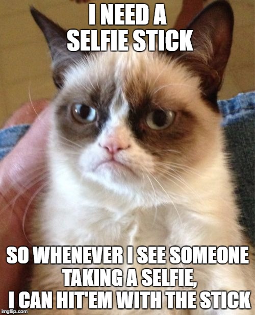 Grumpy Cat | I NEED A SELFIE STICK; SO WHENEVER I SEE SOMEONE TAKING A SELFIE, I CAN HIT'EM WITH THE STICK | image tagged in memes,grumpy cat | made w/ Imgflip meme maker