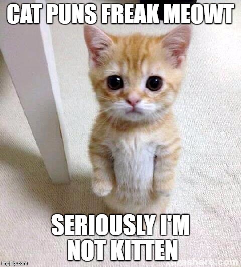 Cute Cat Meme | CAT PUNS FREAK MEOWT; SERIOUSLY I'M NOT KITTEN | image tagged in memes,cute cat | made w/ Imgflip meme maker