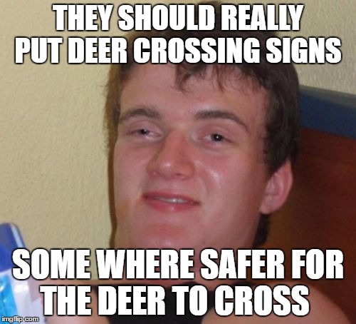 10 Guy Meme | THEY SHOULD REALLY PUT DEER CROSSING SIGNS; SOME WHERE SAFER FOR THE DEER TO CROSS | image tagged in memes,10 guy | made w/ Imgflip meme maker