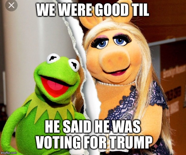 Real Reason Piggy Divorces Kermit | WE WERE GOOD TIL; HE SAID HE WAS VOTING FOR TRUMP | image tagged in miss piggy,kermit the frog | made w/ Imgflip meme maker