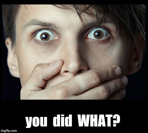 oh my | you  did  WHAT? | image tagged in oh my | made w/ Imgflip meme maker
