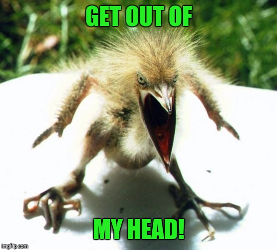 Unpleasant Bird | GET OUT OF MY HEAD! | image tagged in unpleasant bird | made w/ Imgflip meme maker