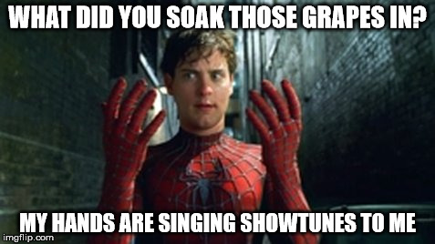 Spiderman - What Did I Touch? | WHAT DID YOU SOAK THOSE GRAPES IN? MY HANDS ARE SINGING SHOWTUNES TO ME | image tagged in spiderman - what did i touch | made w/ Imgflip meme maker