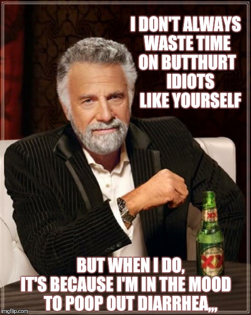 The Most Interesting Man In The World | I DON'T ALWAYS WASTE TIME ON BUTTHURT     IDIOTS     LIKE YOURSELF; BUT WHEN I DO,              IT'S BECAUSE I'M IN THE MOOD                  TO POOP OUT DIARRHEA,,, | image tagged in memes,the most interesting man in the world | made w/ Imgflip meme maker