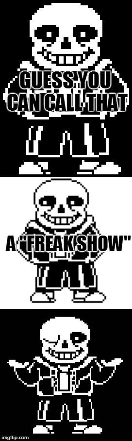 pun master sans  | GUESS YOU CAN CALL THAT A "FREAK SHOW" | image tagged in pun master sans | made w/ Imgflip meme maker