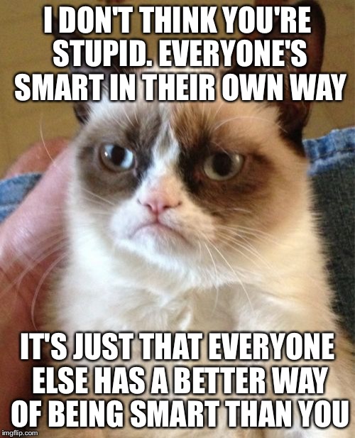 Grumpy Cat | I DON'T THINK YOU'RE STUPID. EVERYONE'S SMART IN THEIR OWN WAY; IT'S JUST THAT EVERYONE ELSE HAS A BETTER WAY OF BEING SMART THAN YOU | image tagged in memes,grumpy cat | made w/ Imgflip meme maker