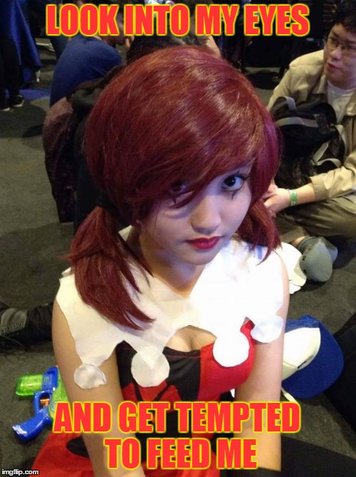 Cute cosplayer | LOOK INTO MY EYES; AND GET TEMPTED TO FEED ME | image tagged in funny,cosplay,cute | made w/ Imgflip meme maker