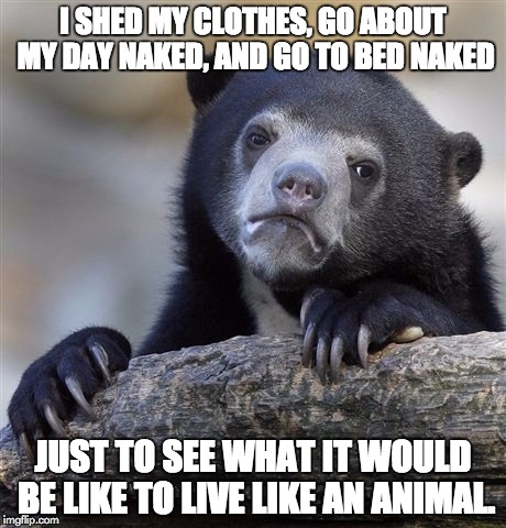 Confession Bear Meme | I SHED MY CLOTHES, GO ABOUT MY DAY NAKED, AND GO TO BED NAKED; JUST TO SEE WHAT IT WOULD BE LIKE TO LIVE LIKE AN ANIMAL. | image tagged in memes,confession bear | made w/ Imgflip meme maker