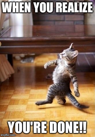 Cool Cat Stroll Meme | WHEN YOU REALIZE; YOU'RE DONE!! | image tagged in memes,cool cat stroll | made w/ Imgflip meme maker
