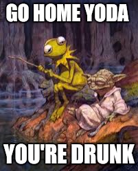 We all have that one friend. ... | GO HOME YODA; YOU'RE DRUNK | image tagged in memes,go home youre drunk,yoda,star wars | made w/ Imgflip meme maker