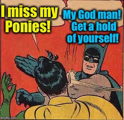 Batman Slapping Robin Meme | I miss my Ponies! My God man!  Get a hold of yourself! | image tagged in memes,batman slapping robin | made w/ Imgflip meme maker