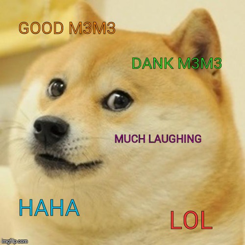 Doge Meme | GOOD M3M3; DANK M3M3; MUCH LAUGHING; HAHA; LOL | image tagged in memes,doge | made w/ Imgflip meme maker