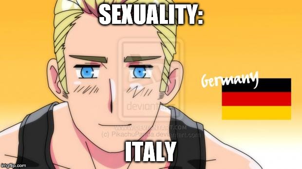 Hetalia Germany | SEXUALITY:; ITALY | image tagged in hetalia germany | made w/ Imgflip meme maker