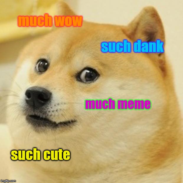 Doge Meme | much wow; such dank; much meme; such cute | image tagged in memes,doge | made w/ Imgflip meme maker