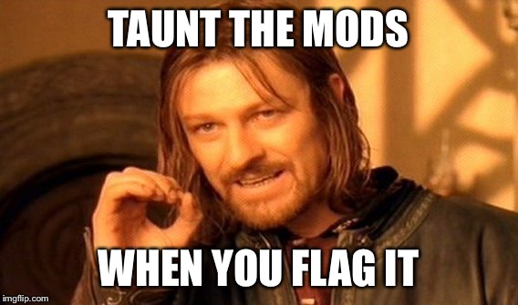 One Does Not Simply Meme | TAUNT THE MODS WHEN YOU FLAG IT | image tagged in memes,one does not simply | made w/ Imgflip meme maker