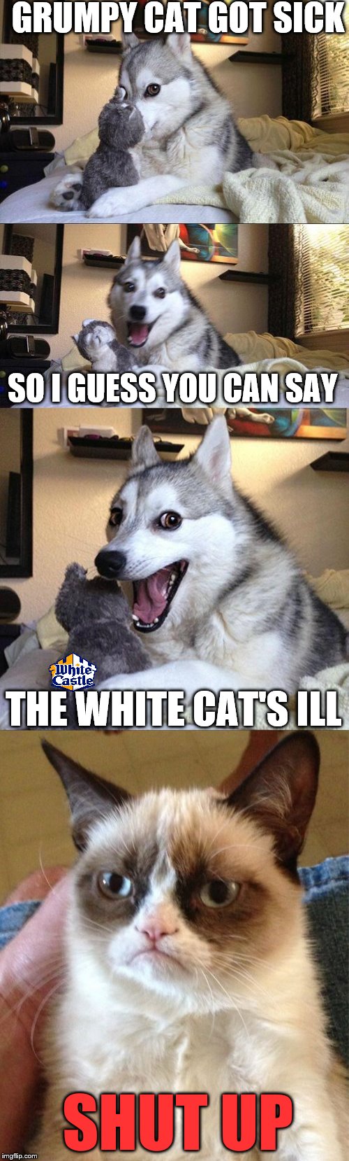 GRUMPY CAT GOT SICK; SO I GUESS YOU CAN SAY; THE WHITE CAT'S ILL; SHUT UP | image tagged in bad pun dog,grumpy cat,memes,white castle | made w/ Imgflip meme maker