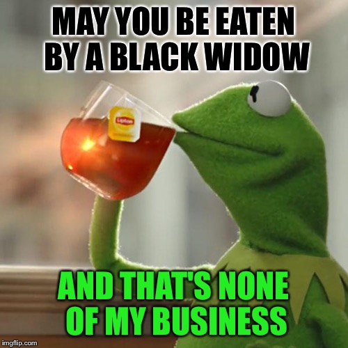 But That's None Of My Business Meme | MAY YOU BE EATEN BY A BLACK WIDOW AND THAT'S NONE OF MY BUSINESS | image tagged in memes,but thats none of my business,kermit the frog | made w/ Imgflip meme maker