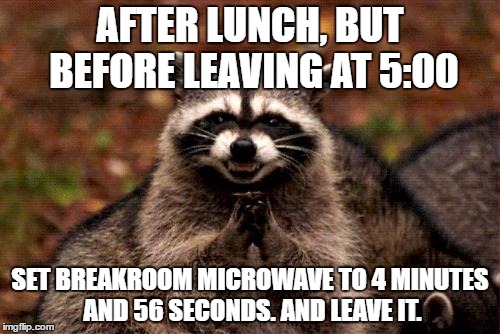 Evil Plotting Raccoon | AFTER LUNCH, BUT BEFORE LEAVING AT 5:00; SET BREAKROOM MICROWAVE TO 4 MINUTES AND 56 SECONDS. AND LEAVE IT. | image tagged in memes,evil plotting raccoon,AdviceAnimals | made w/ Imgflip meme maker